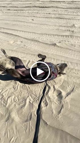 Customer video review of Playa Poncho - Surprise Color