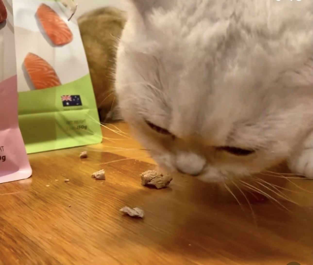Customer photo review of Michu Freeze Dried Raw Pet Food 150g