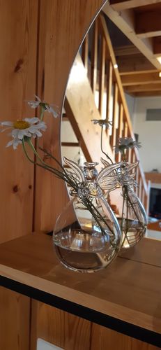 Customer photo review of Mon grand ange gardien