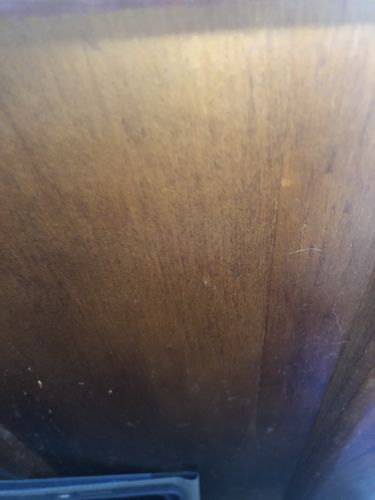 Customer photo review of Sour Puss Waterwelon