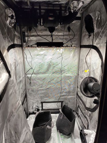 Customer photo review of 3x3 Indoor Grow Tent Kit, AC Infinity 3 Plant Kit