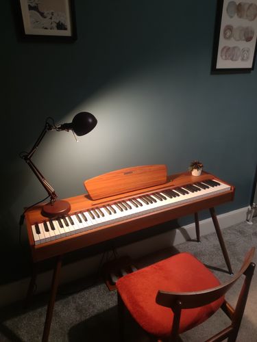 Customer photo review of Donner DDP-80 Wooden Style 88 Key Weighted Digital Piano with Stand & 3 Pedal