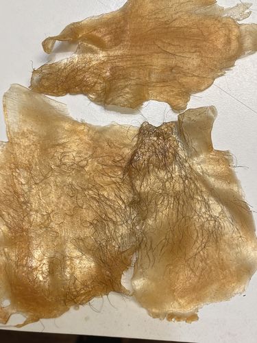 Customer photo review of Hard Wax | Wild Honey | 2.2LB