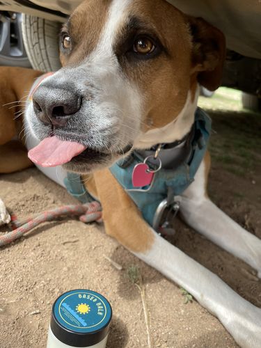 Customer photo review of Tallow Based Balm