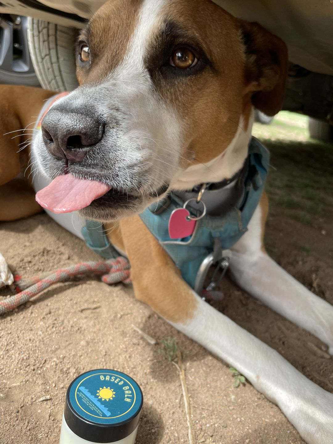 Customer photo review of Tallow Based Balm
