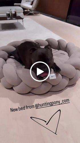 Customer video review of Dog bed Pony kolosony beige