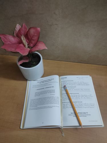 Customer photo review of Mindbrush Journal