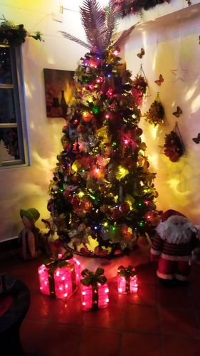 Customer photo review of Luz Exterior Navidad LED