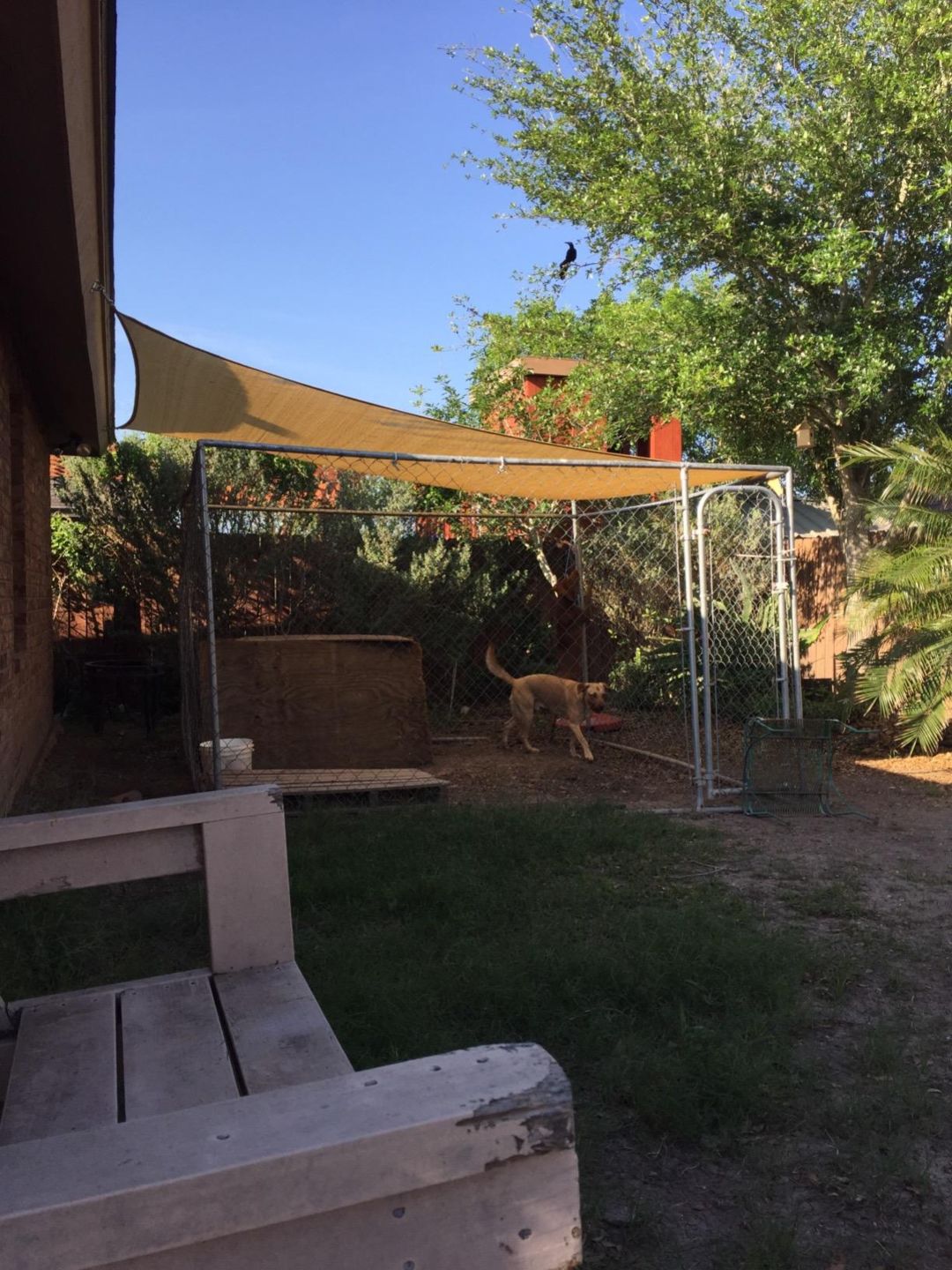 Customer photo review of Outdoor Waterproof Sun Shade Sail Opaque Privacy Protection Canopy for Patio and Garden,Backyard Lawn