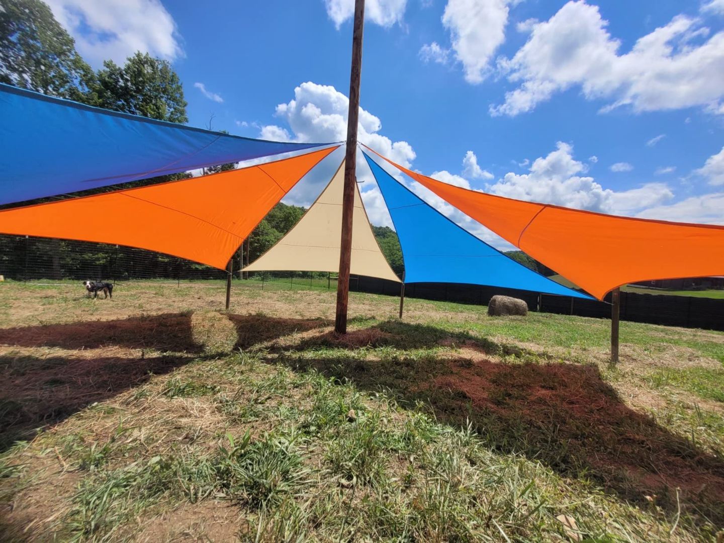 Customer photo review of Opaque Privacy Protection Outdoor Waterproof Sun Shade Sail Canopy Triangle UV Block for Patio