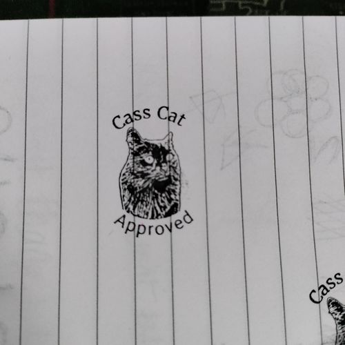 Customer photo review of Self-Inking Face Stamp