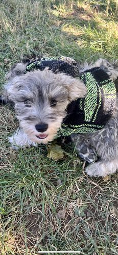 Customer photo review of Playa Poncho - Surprise Color