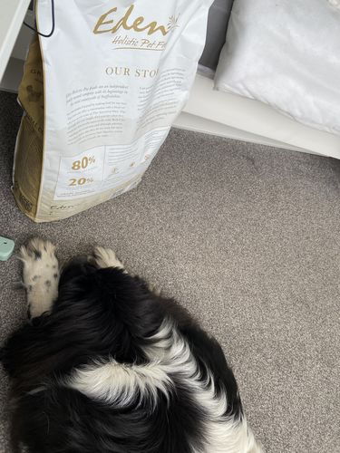 Customer photo review of Eden Fish Cuisine