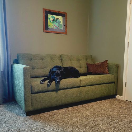 Customer photo review of Wallace Queen Sleeper Sofa
