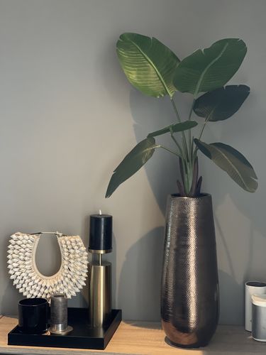 Customer photo review of Strelitzia Kunstplant 90cm