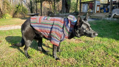 Customer photo review of Playa Poncho - Surprise Color