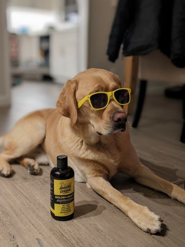 Customer photo review of Golden Gravy
