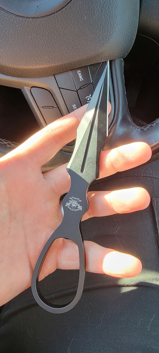 Customer photo review of D2 DAGGER