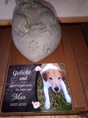 Customer photo review of Hunde Gedenktafel mit Foto & Spruch