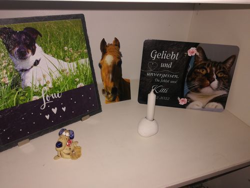 Customer photo review of Katzen Gedenktafel mit Foto & Spruch
