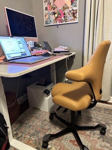 Customer photo review of Capisco Chair