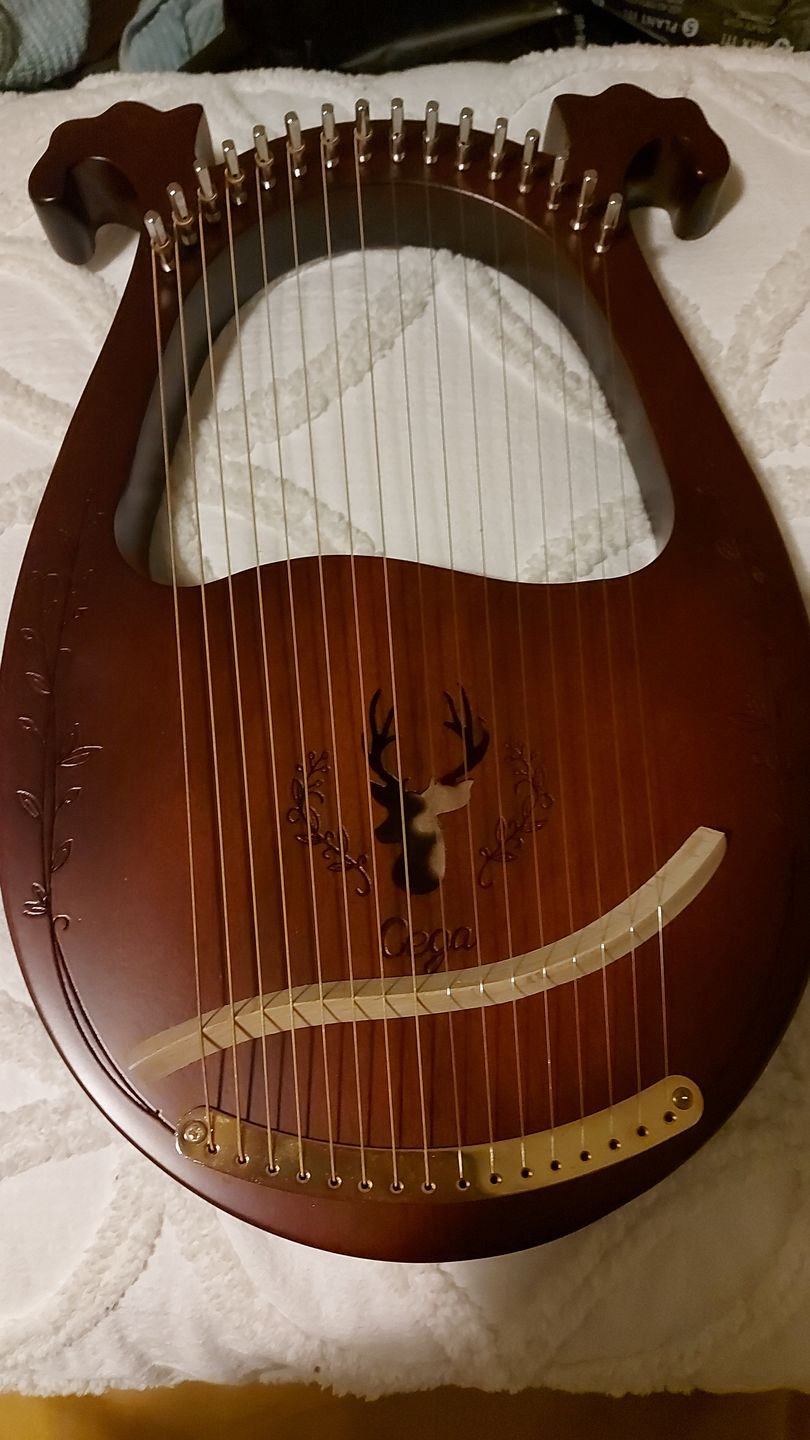 Customer photo review of NARA LYRE 16 String Mahogany w/Bag
