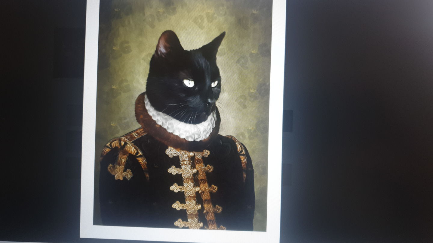 Customer photo review of The Count: Custom Pet Portrait