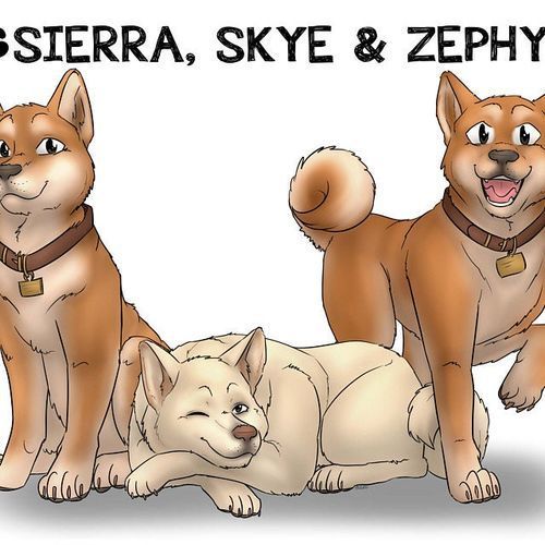 Customer photo review of Custom Pet Portrait - Cool Gift For Animal Lovers - Cartoon Caricature Dog Cat Horse Rabbit - Hand drawn from photos