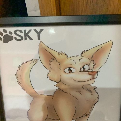 Customer photo review of Custom Pet Portrait - Cool Gift For Animal Lovers - Cartoon Caricature Dog Cat Horse Rabbit - Hand drawn from photos