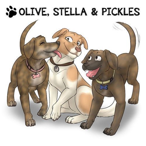 Customer photo review of Custom Pet Portrait - Cool Gift For Animal Lovers - Cartoon Caricature Dog Cat Horse Rabbit - Hand drawn from photos