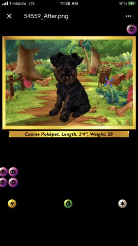 Customer photo review of Product options