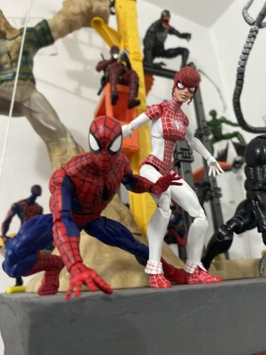 Customer photo review of Marvel Legends : 2 pack Spider-man and Marvel's Spinneret - The amazing Spider-man
