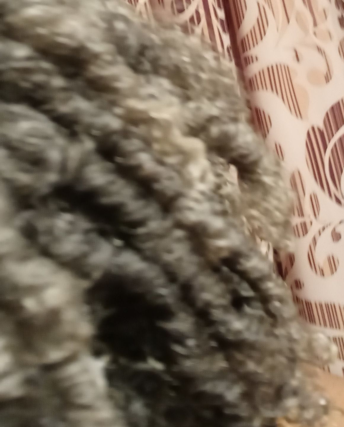 Customer photo review of Hair Growth Serum for Curly Hair with Organic Jojoba Oil for Moisturizing and Lavender Fragrance