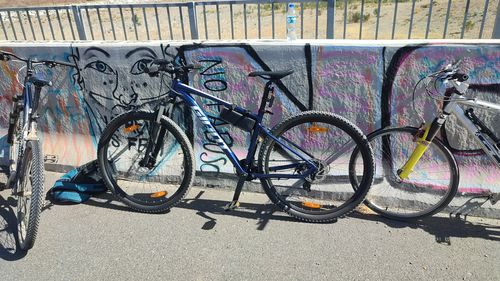 Customer photo review of Bicicleta Mountain Bike Talon 5 Aro 29 Azul