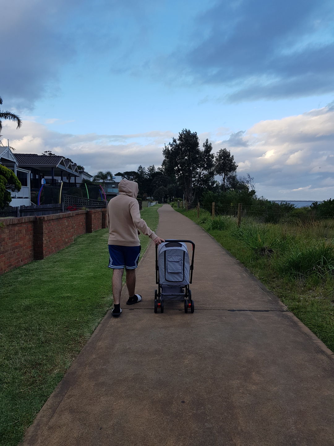 Customer photo review of PaWz Pet Dog Stroller Pram