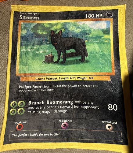 Customer photo review of Number of Pokepets and Trainers