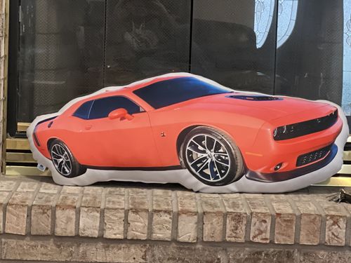 Customer photo review of Create A Custom Car Pillow