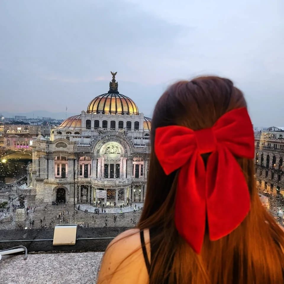 Customer photo review of MINNIE Moño - Large Red Bow