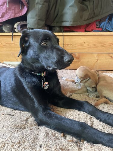 Customer photo review of Explorer Silicone