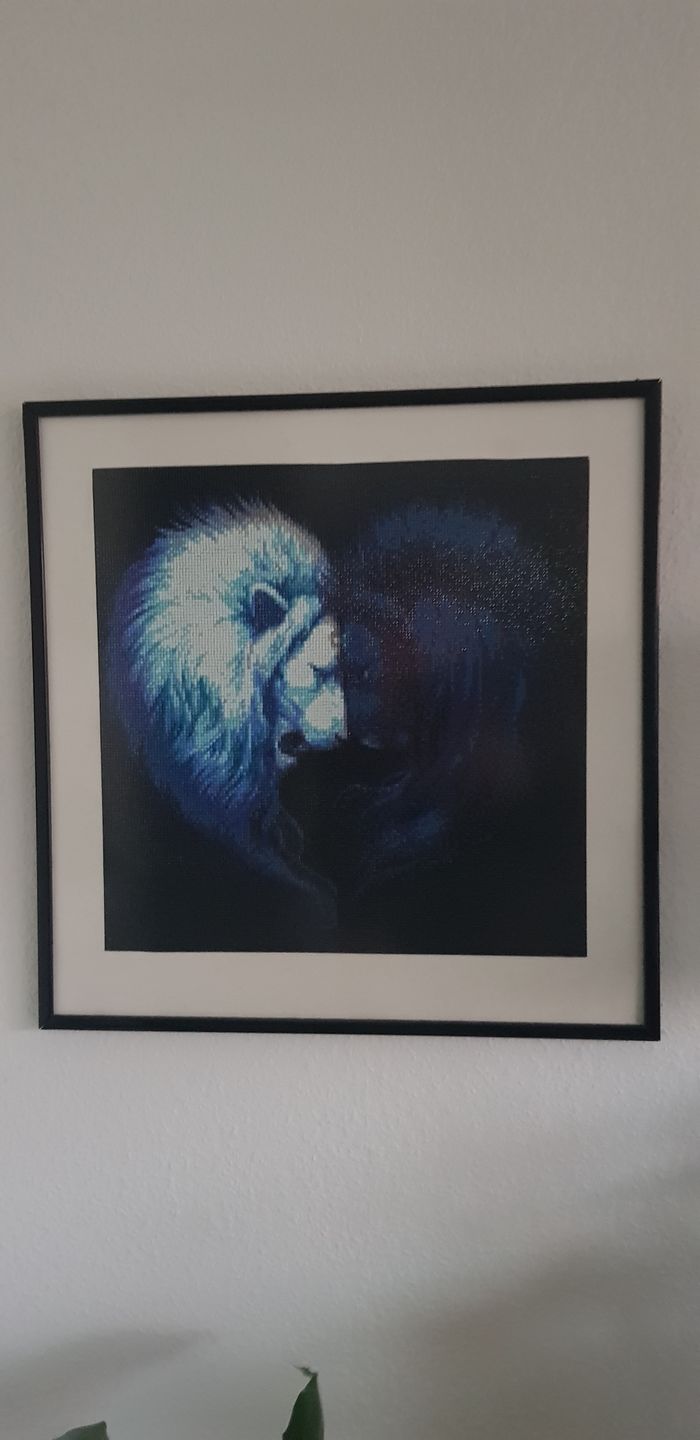 Customer photo review of Yin och yang lejon