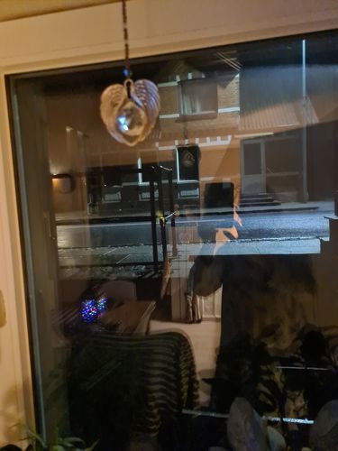 Customer photo review of Angel Wings Memorial Ornament