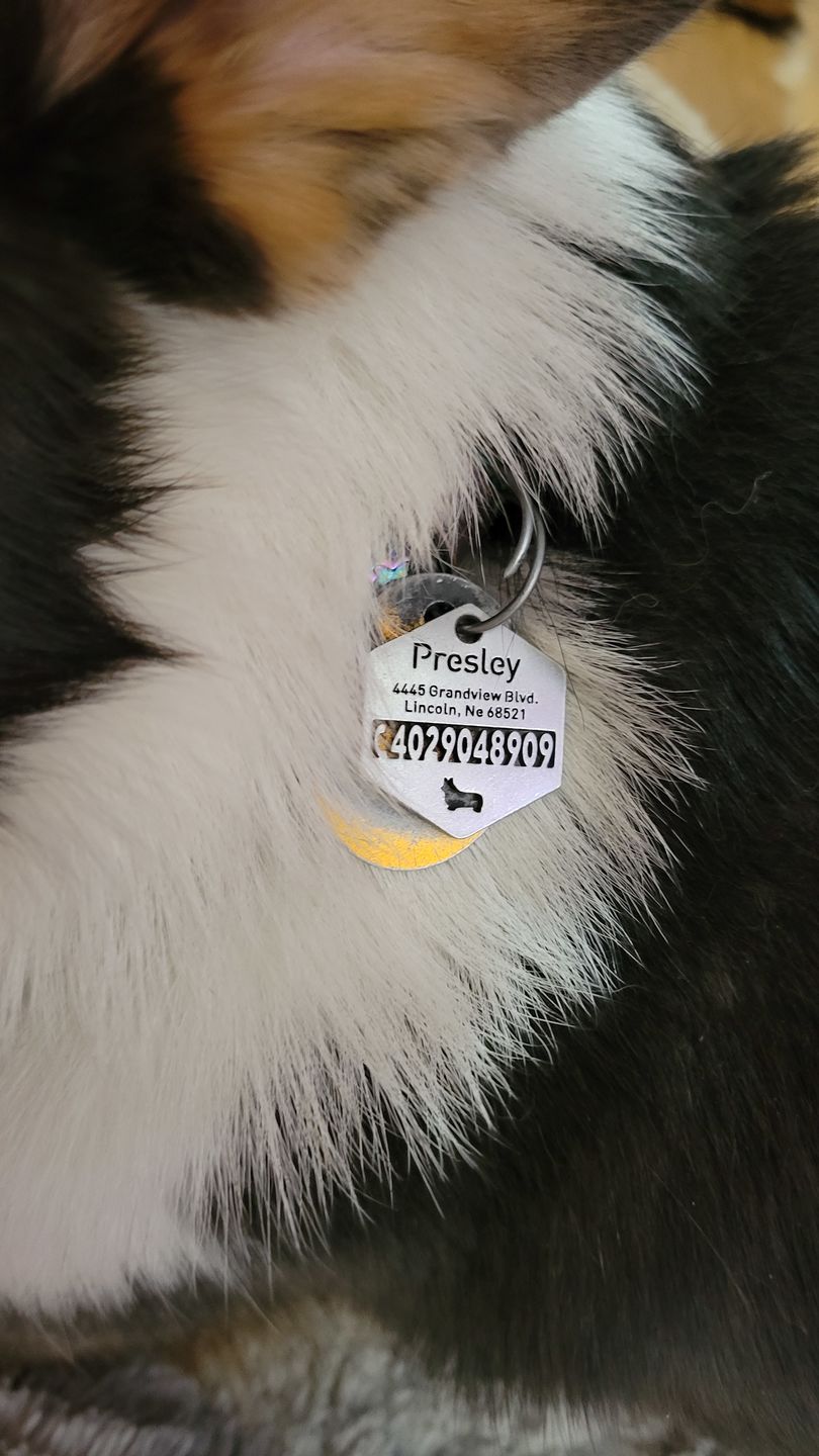 Customer photo review of Hollow-carved ID Tags