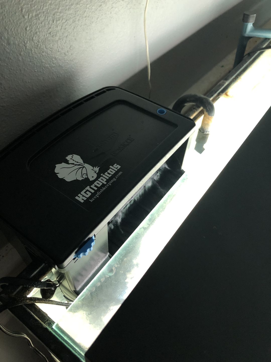Customer photo review of Tidal Power Filters From Seachem/Sicce