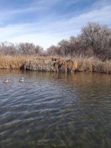 Customer photo review of Hunting Blind Raffia Grass (Pack)