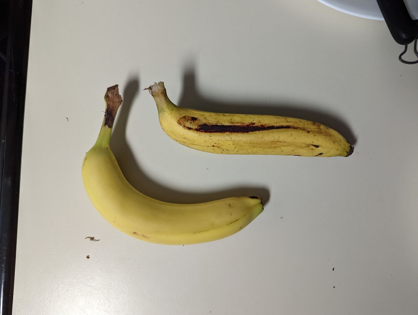 Customer photo review of Gros Michel Banana Box
