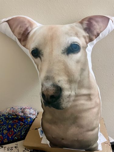 Customer photo review of Create A Custom Dog Pillow