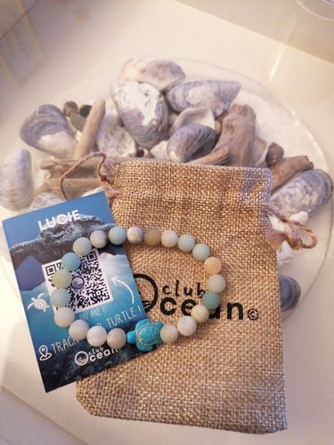 Customer photo review of "Whale" tracking bracelet