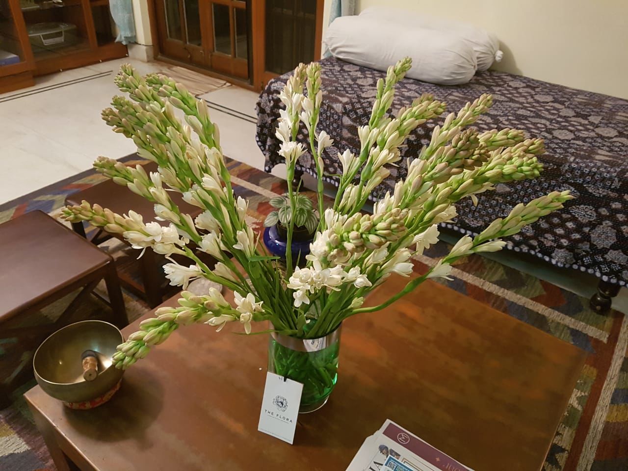 Customer photo review of Tube Roses "Rajnigandha"