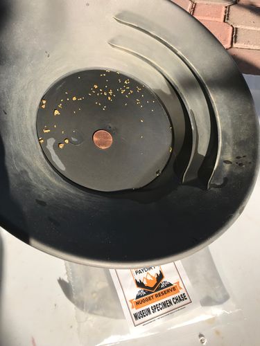Customer photo review of Nugget Reserve 'MUSEUM SPECIMEN CHASE' - Gold Panning Paydirt Concentrate