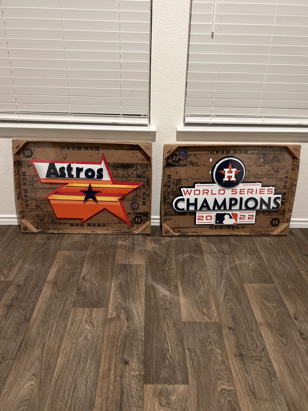 Customer photo review of Houston Astros World Series 2022 3D Metal Wall Art